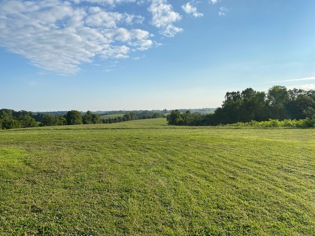 1366 Willow Neave Road Brooksville, KY 41004 - Photo 20 of 48 Gallery Image 20