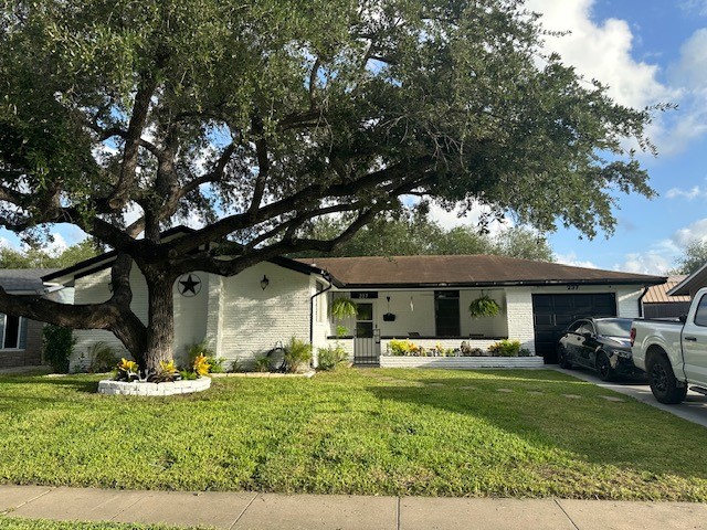 237 Briarwood Drive Kingsville, TX 78363 - Photo 1 of 13 a front view of a house with a garden and trees