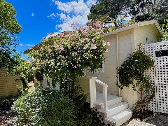 14 Belle Avenue San Rafael, CA 94901 - Photo 28 of 40 a white house with tree in front of it