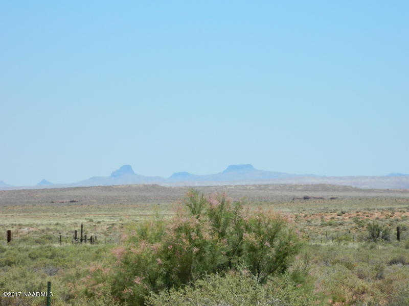 44111 Ranch Land Road Leuppx, AZ 86035 - Photo 54 of 59 54
