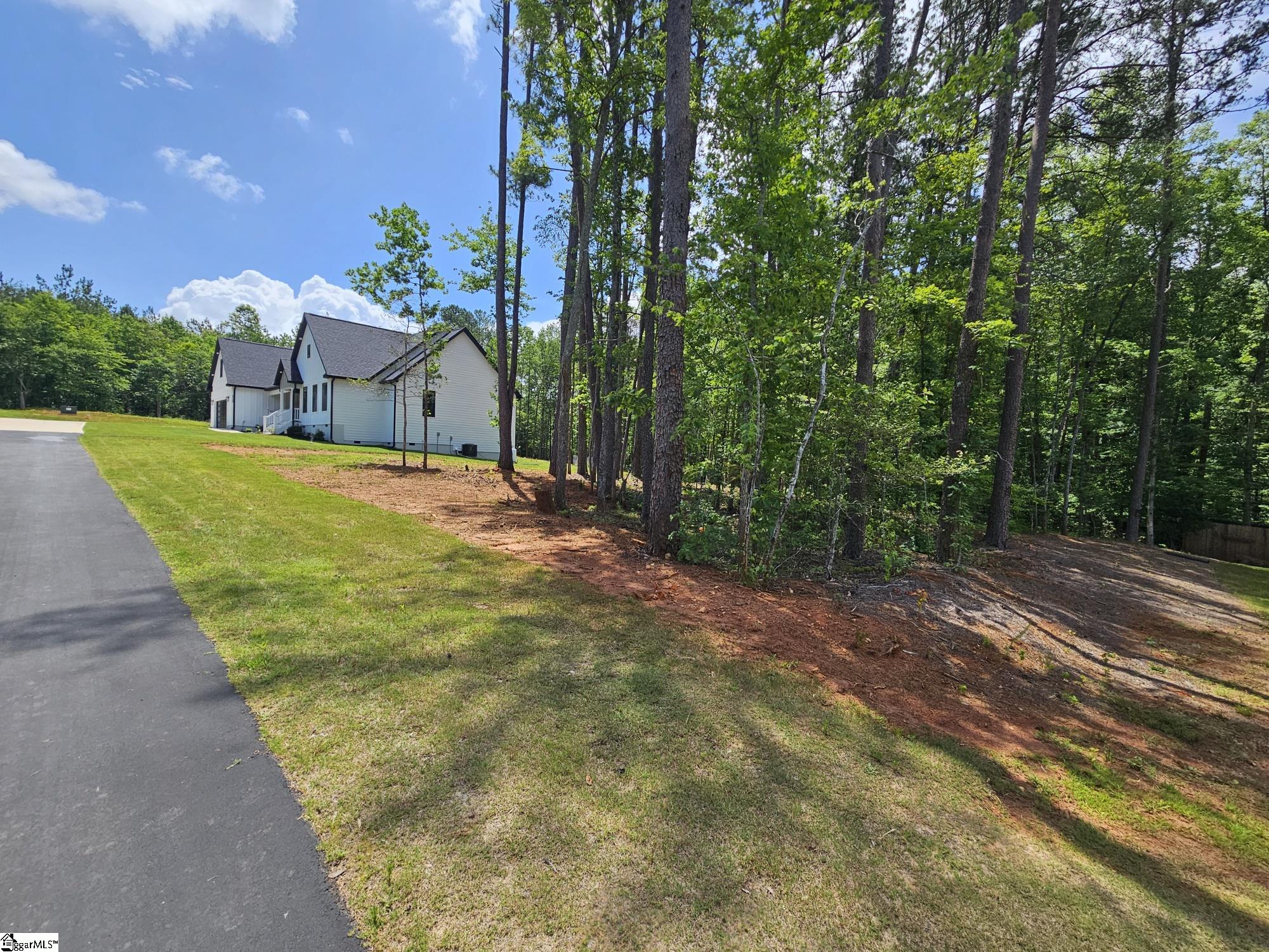 4220 North Blue Ridge Drive Greer, SC 29651 - Photo 10 of 33