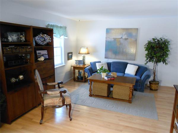 48 Meadowview Road Holyoke, MA 01040 - Photo 2 of 9 a living room with furniture and a potted plant