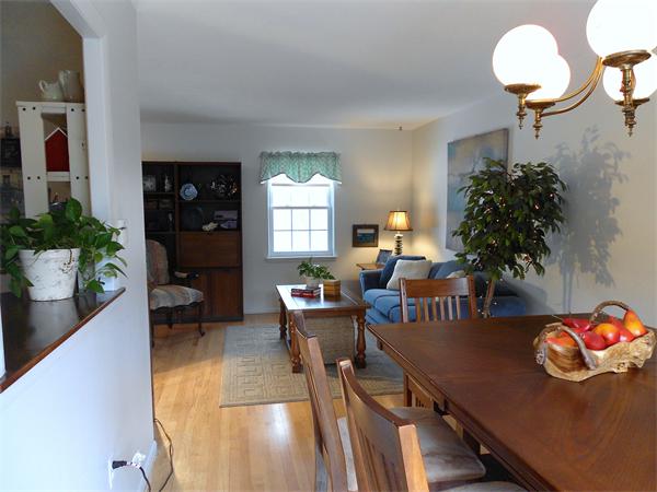48 Meadowview Road Holyoke, MA 01040 - Photo 5 of 9 a living room with furniture and potted plant