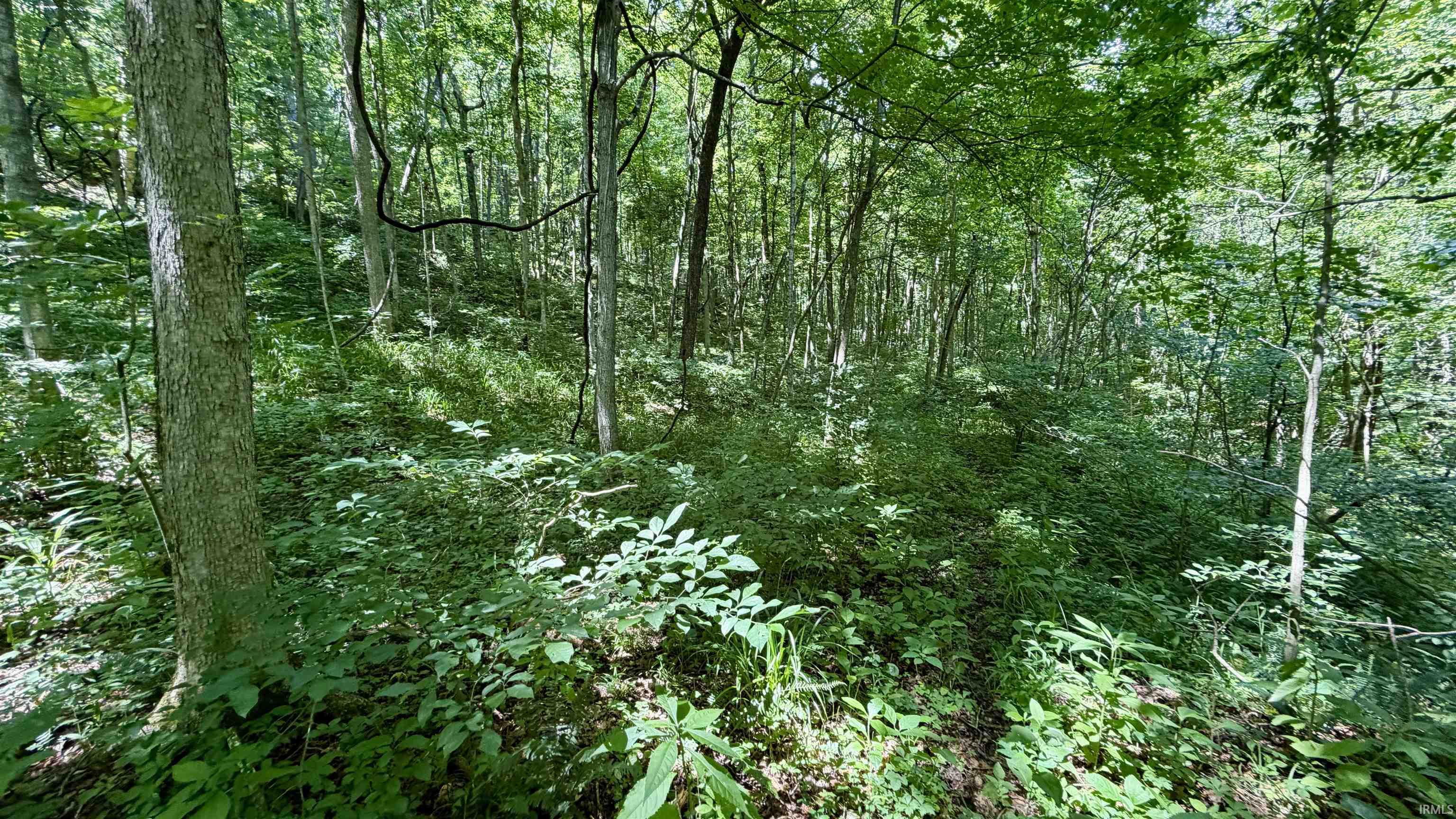 64 State Road English, IN 47118 - Photo 25 of 27
