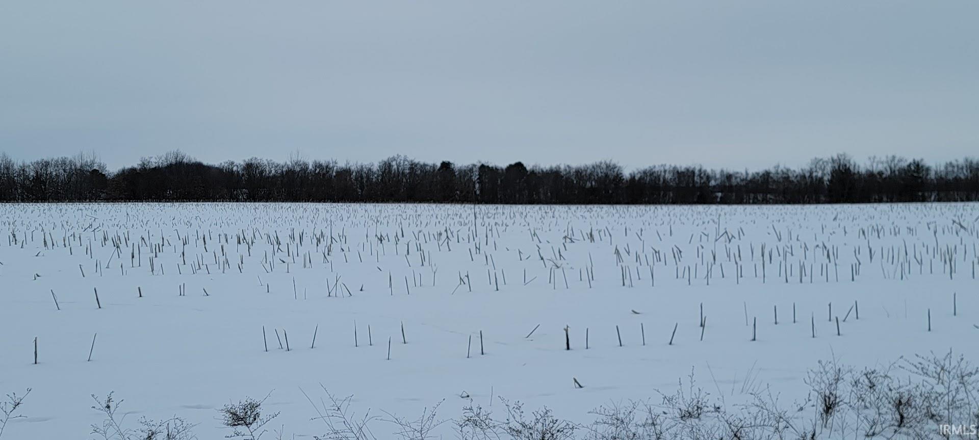 128.9-acres North Wampler Road Bicknell, IN 47512 - Photo 13 of 20