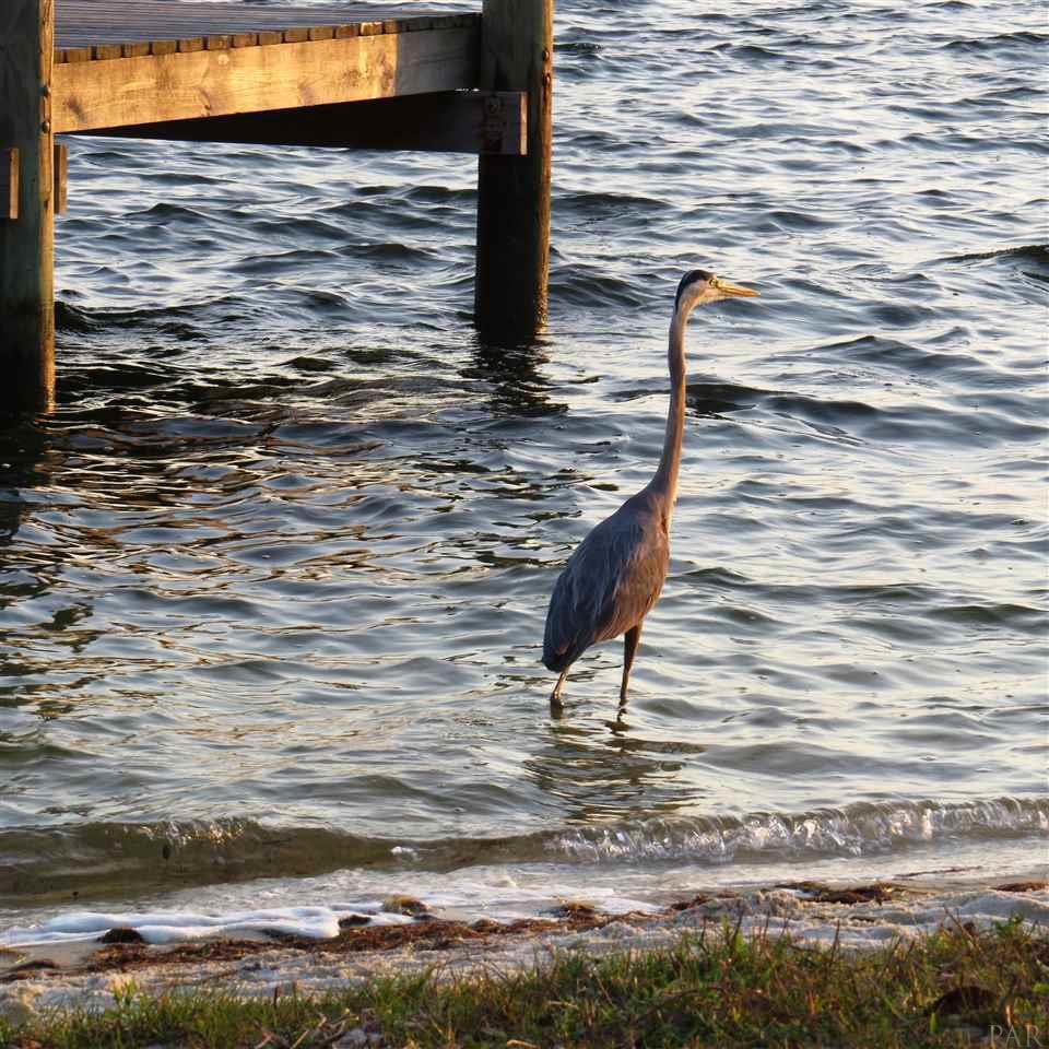 14580 Sundown Road Pensacola, FL 32507 - Photo 4 of 8