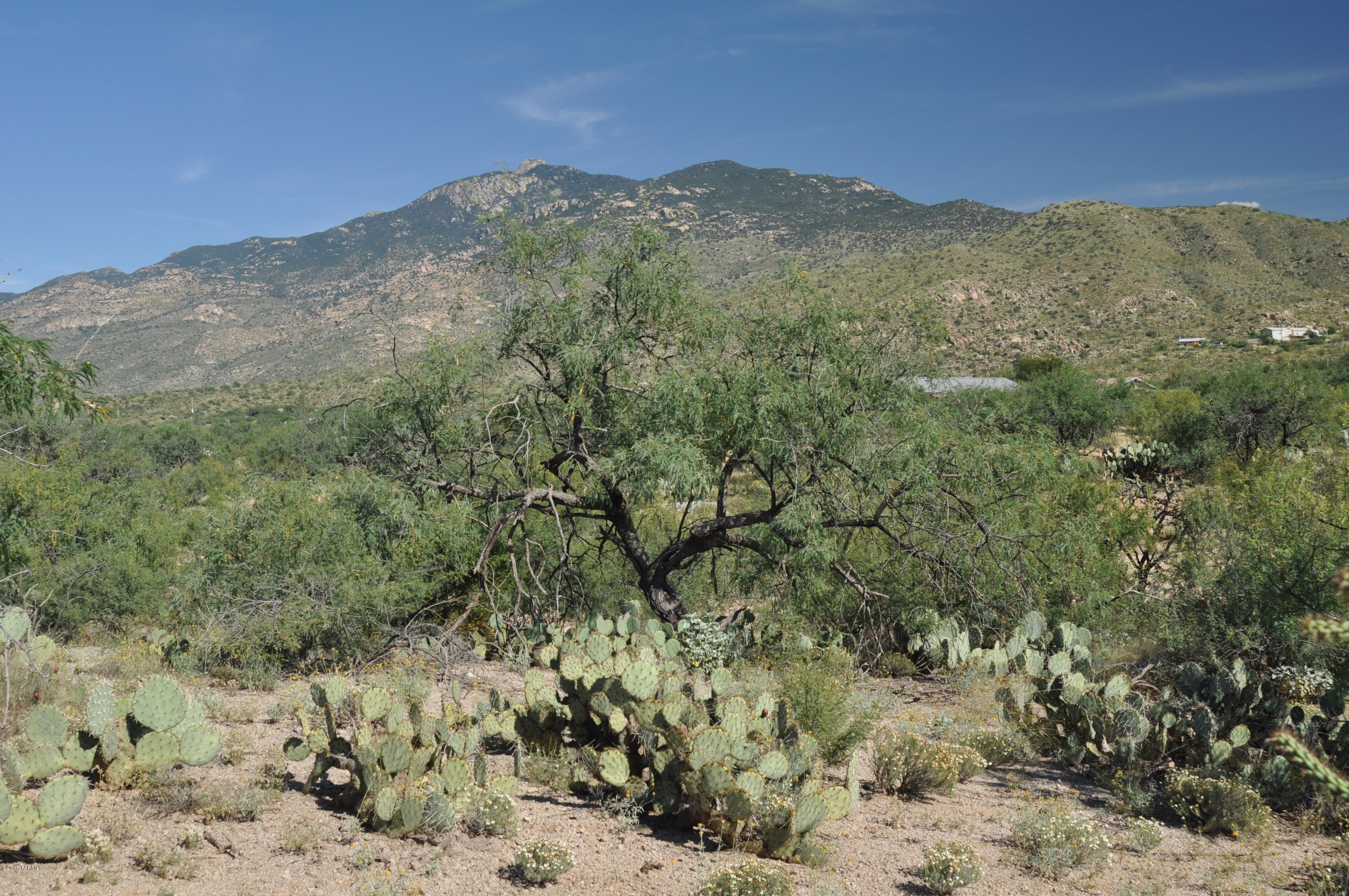 7542 South Pistol Hill Road Vail, AZ 85641 - Photo 12 of 16