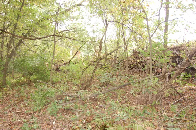 $135,000 | 17.63-acres Bigelow Hill Road, Avoca, WI 53506