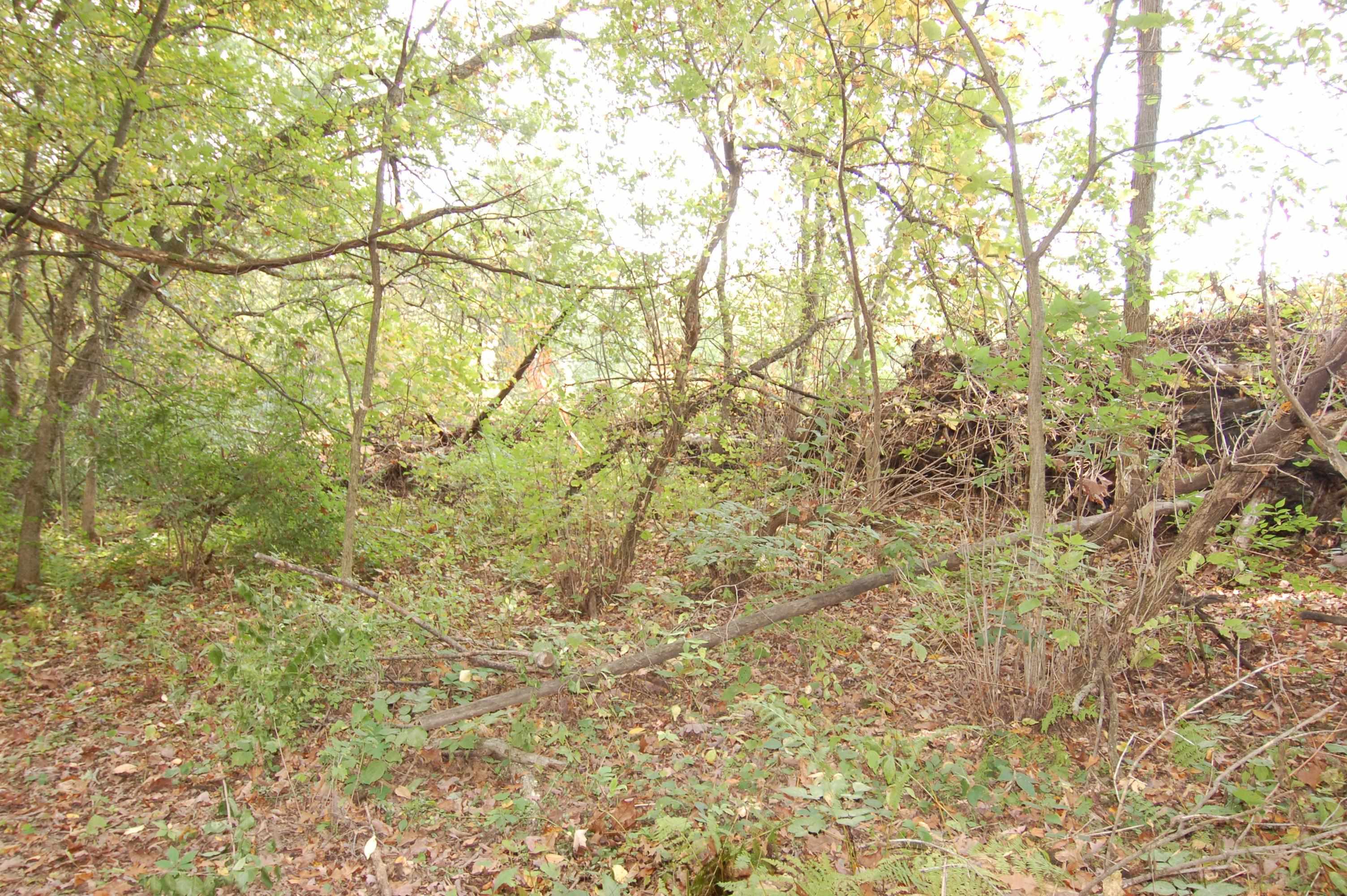 17.63-acres Bigelow Hill Road Avoca, WI 53506 - Photo 11 of 12