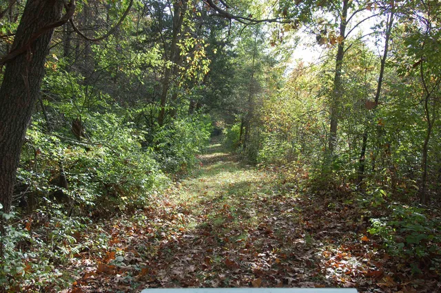 $135,000 | 17.63-acres Bigelow Hill Road, Avoca, WI 53506