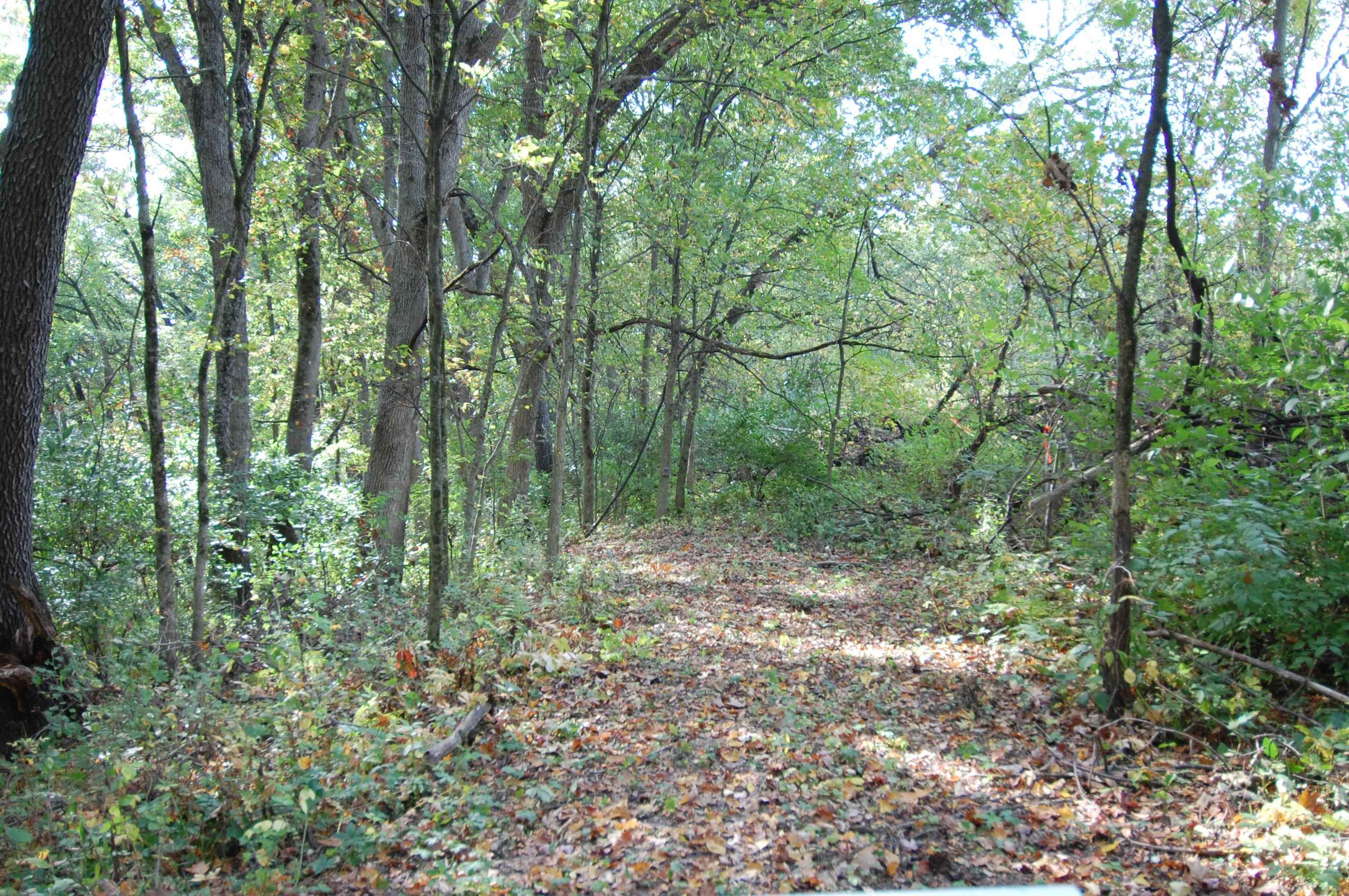 17.63-acres Bigelow Hill Road Avoca, WI 53506 - Photo 4 of 12