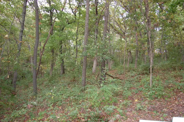 $135,000 | 17.63-acres Bigelow Hill Road, Avoca, WI 53506