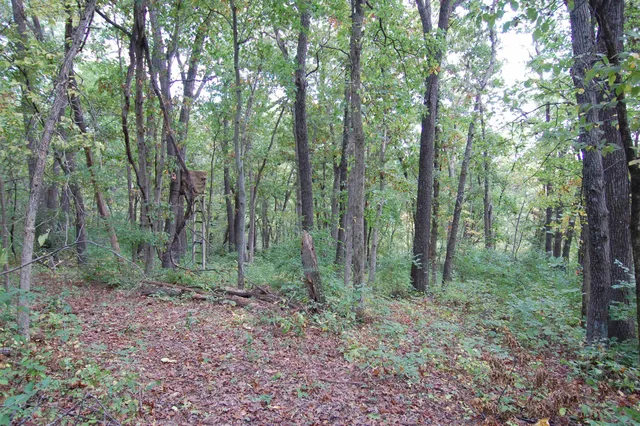 $135,000 | 17.63-acres Bigelow Hill Road, Avoca, WI 53506