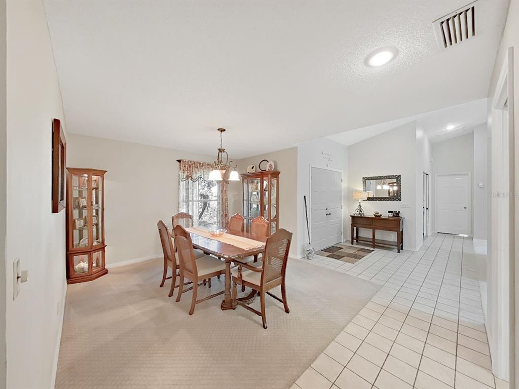 305 Running Horse Road Seffner, FL 33584 - Photo 28 of 55