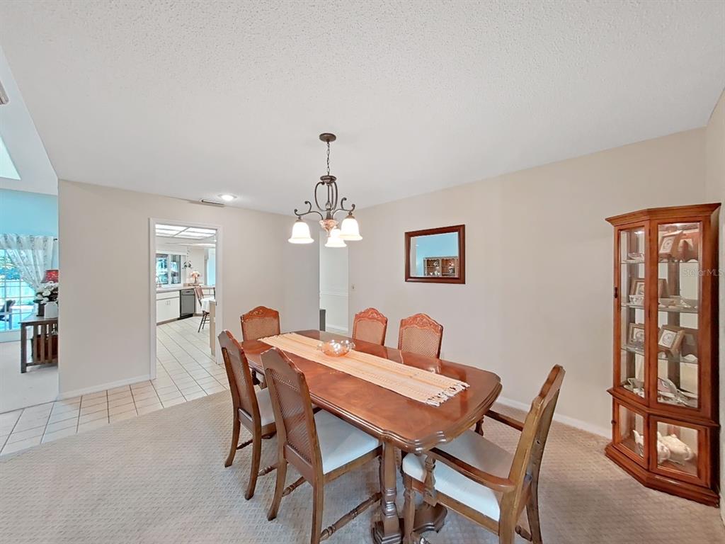 305 Running Horse Road Seffner, FL 33584 - Photo 29 of 55