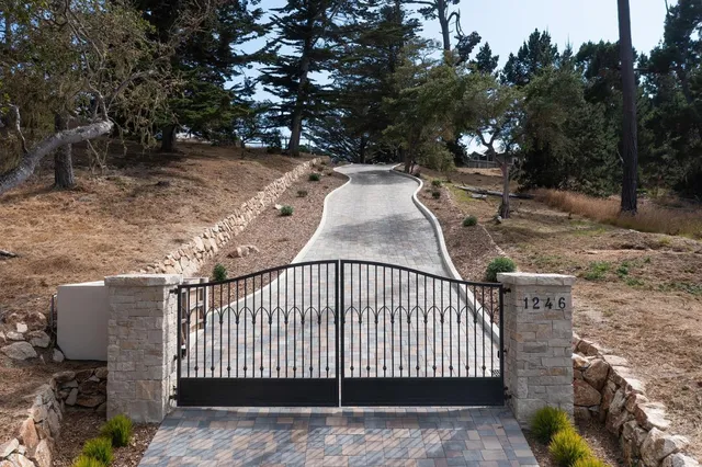 a view of a yard with large trees