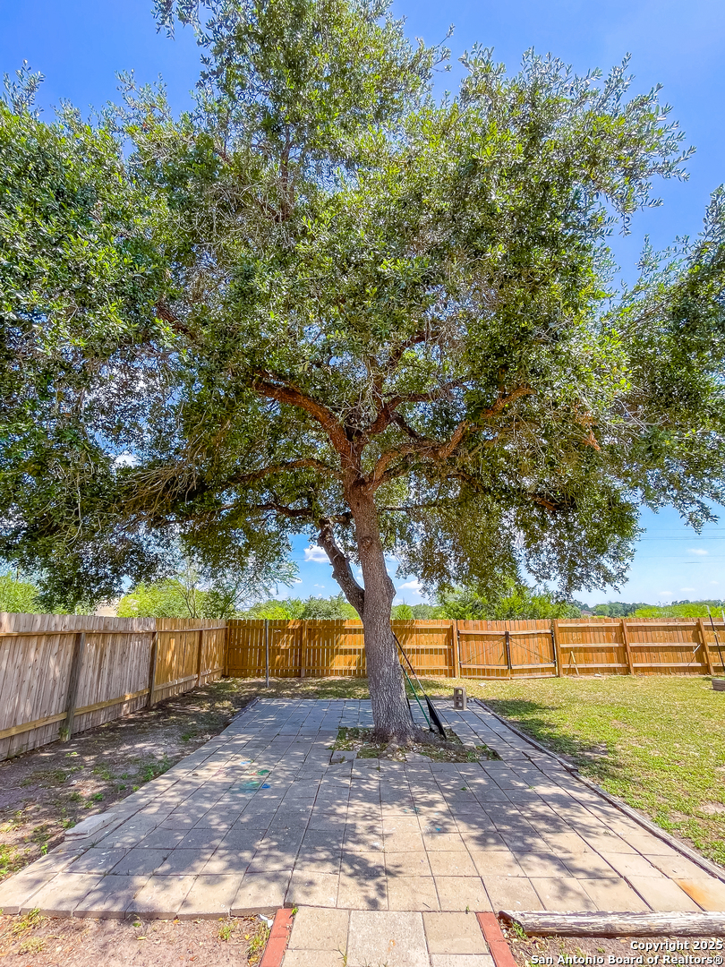 1206 Fairview Drive Beeville, TX 78102 - Photo 16 of 20 a view of a yard with a large tree