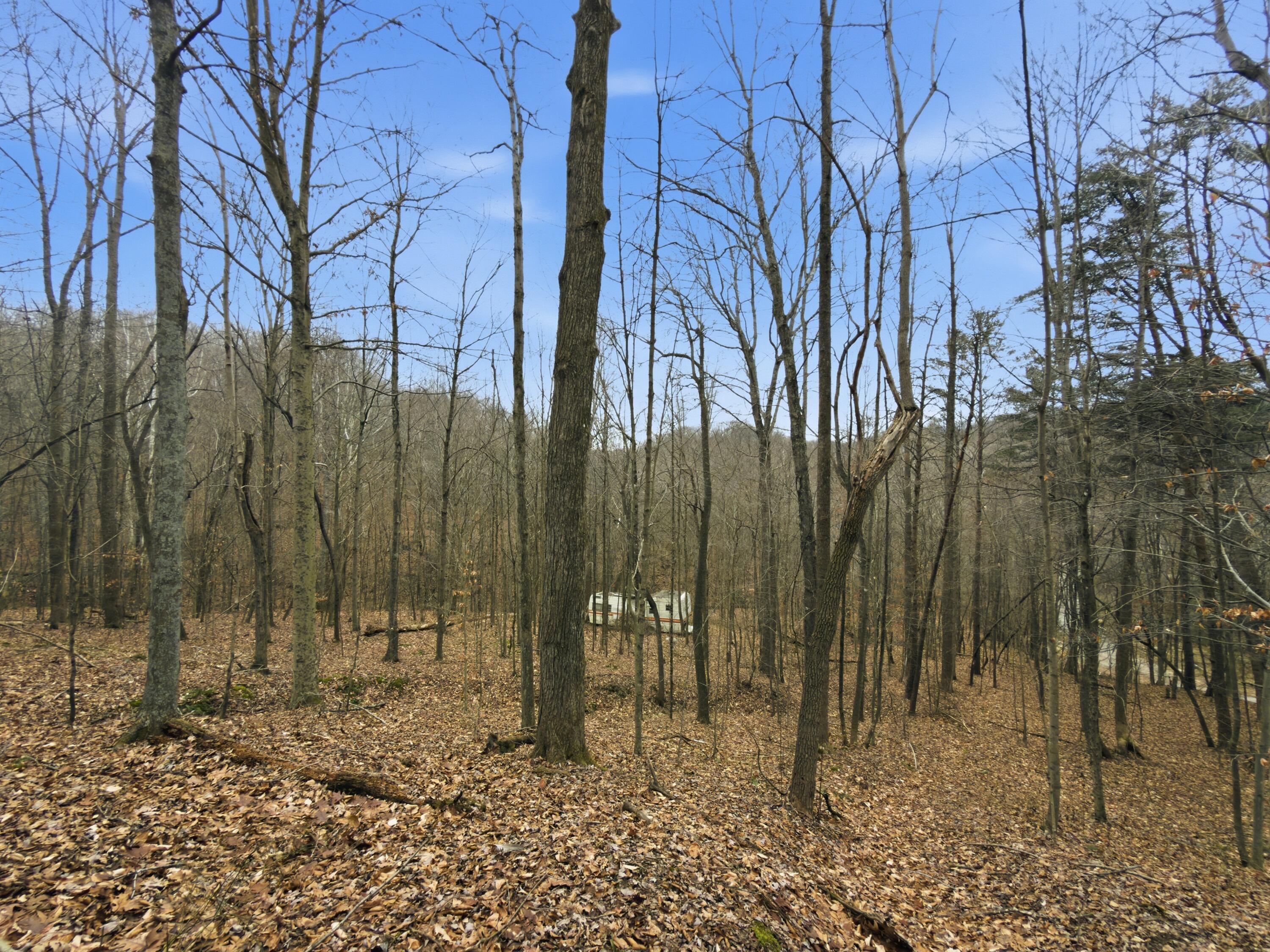 0 East Side Geer Mill Road Vinton, OH 45686 - Photo 24 of 27 IMG_4812