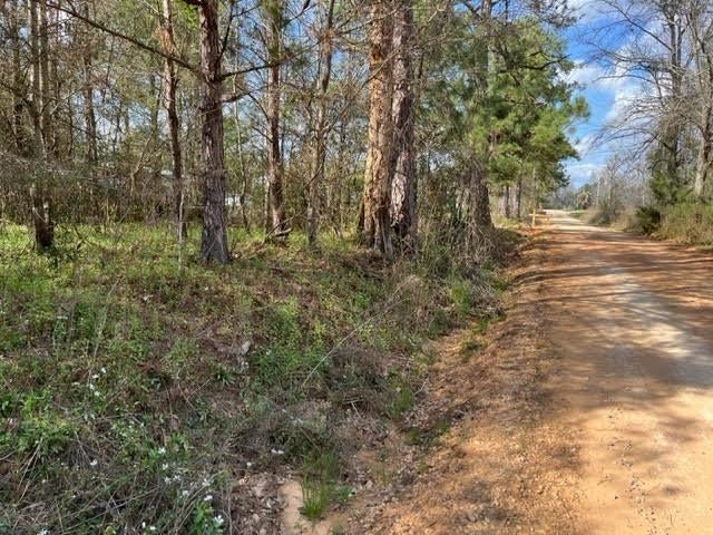 0 Mary Williamson Road Andalusia, AL 36421 - Photo 1 of 4 Gallery Image 1