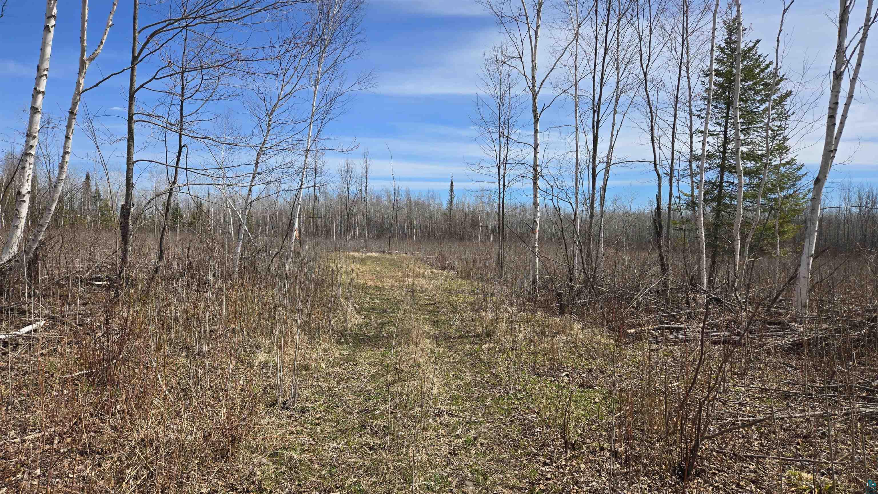 43 Lummi Road Orr, MN 55771 - Photo 25 of 29 Gallery Image 25