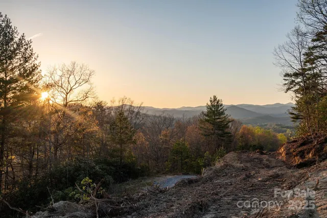 a view of a house with a mountain and a forest