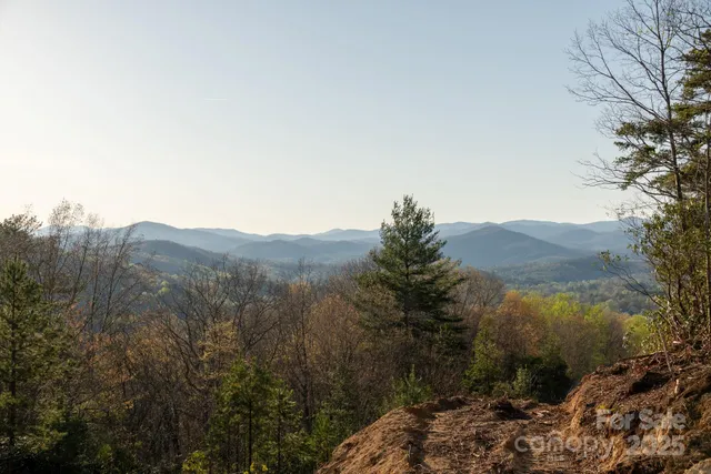 a view of a mountain range with trees in the background