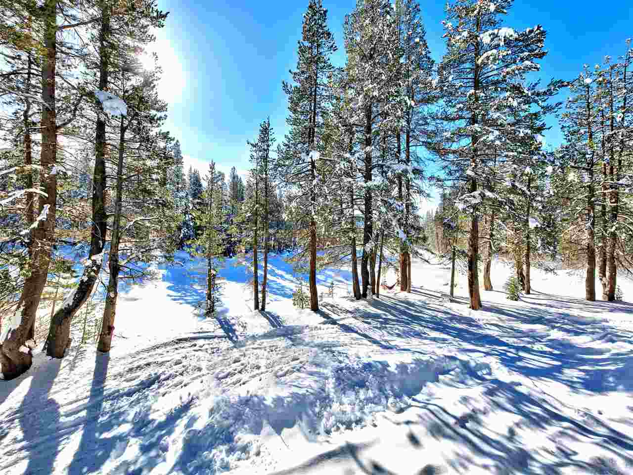 19679 Boreal Ridge Road, Unit 8 Soda Springs, CA 95728 - Photo 17 of 21 Gallery Image 17