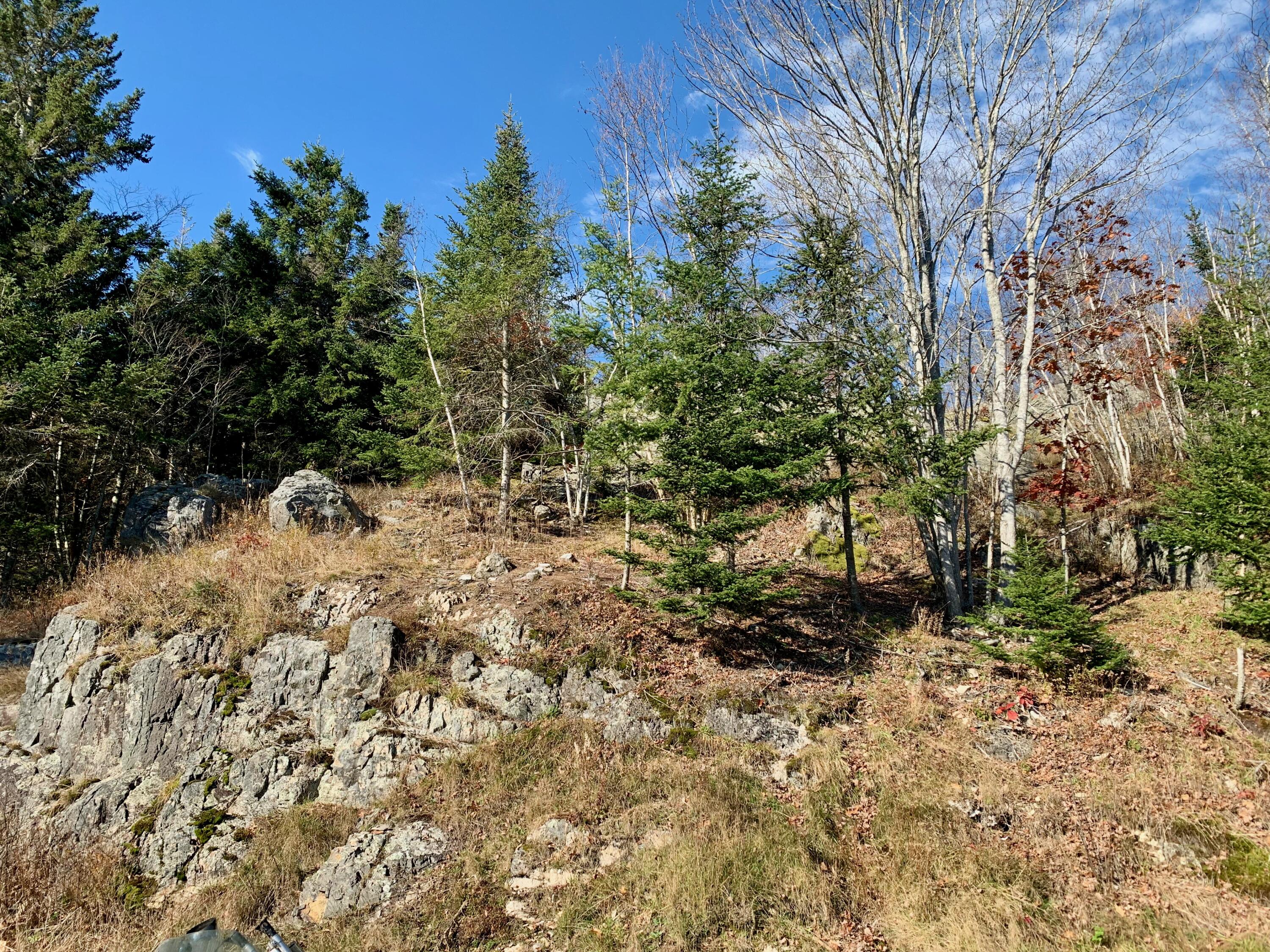 258 Rim Road East Machias, ME 04630 - Photo 42 of 56 IMG_8136