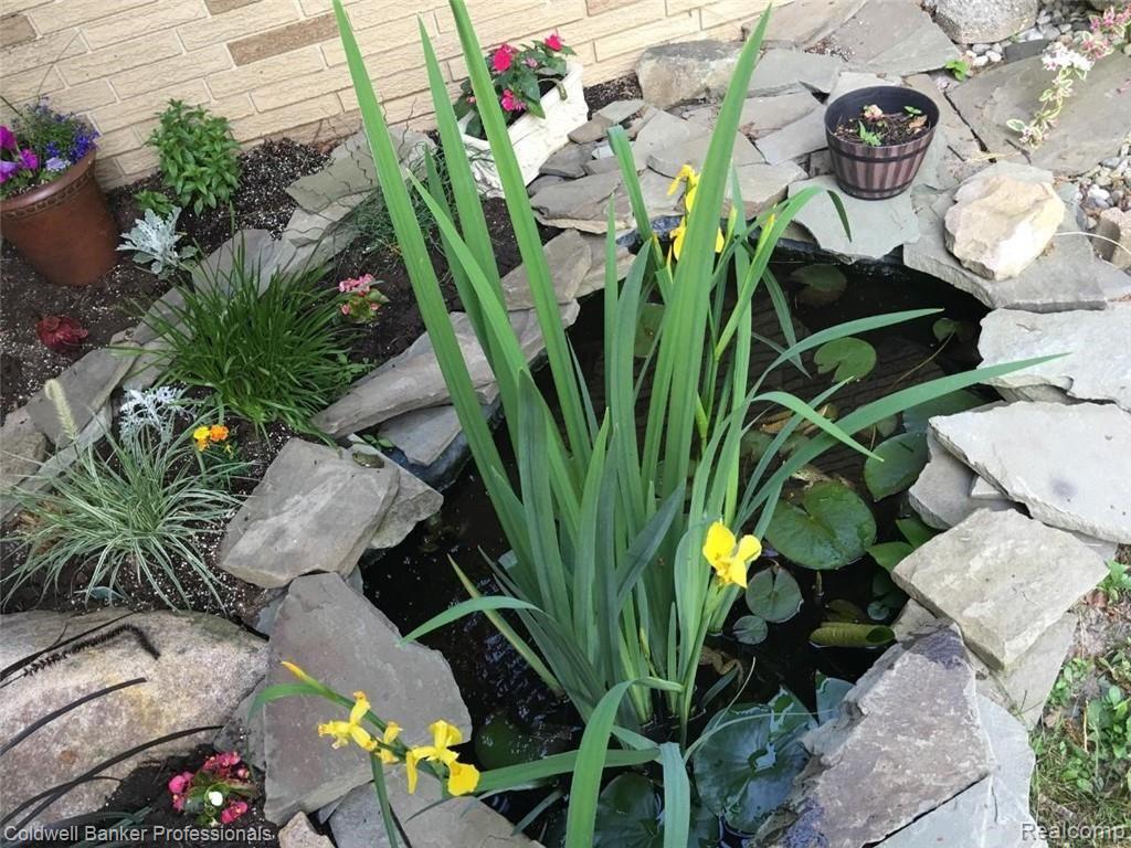 Pond near the entry