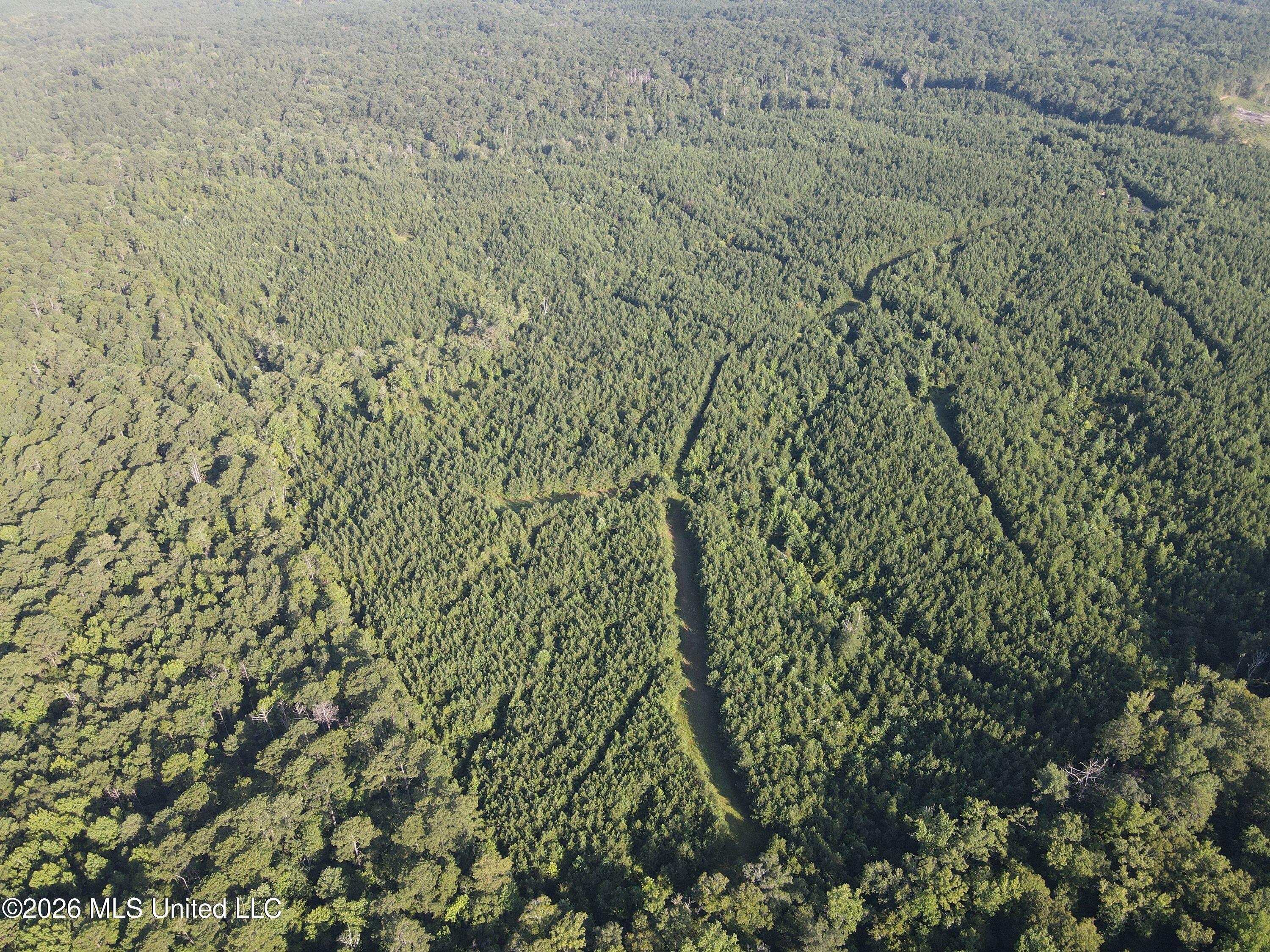 Cupit Rd Union Union Church, MS 39668 - Photo 21 of 61 DJI_0727