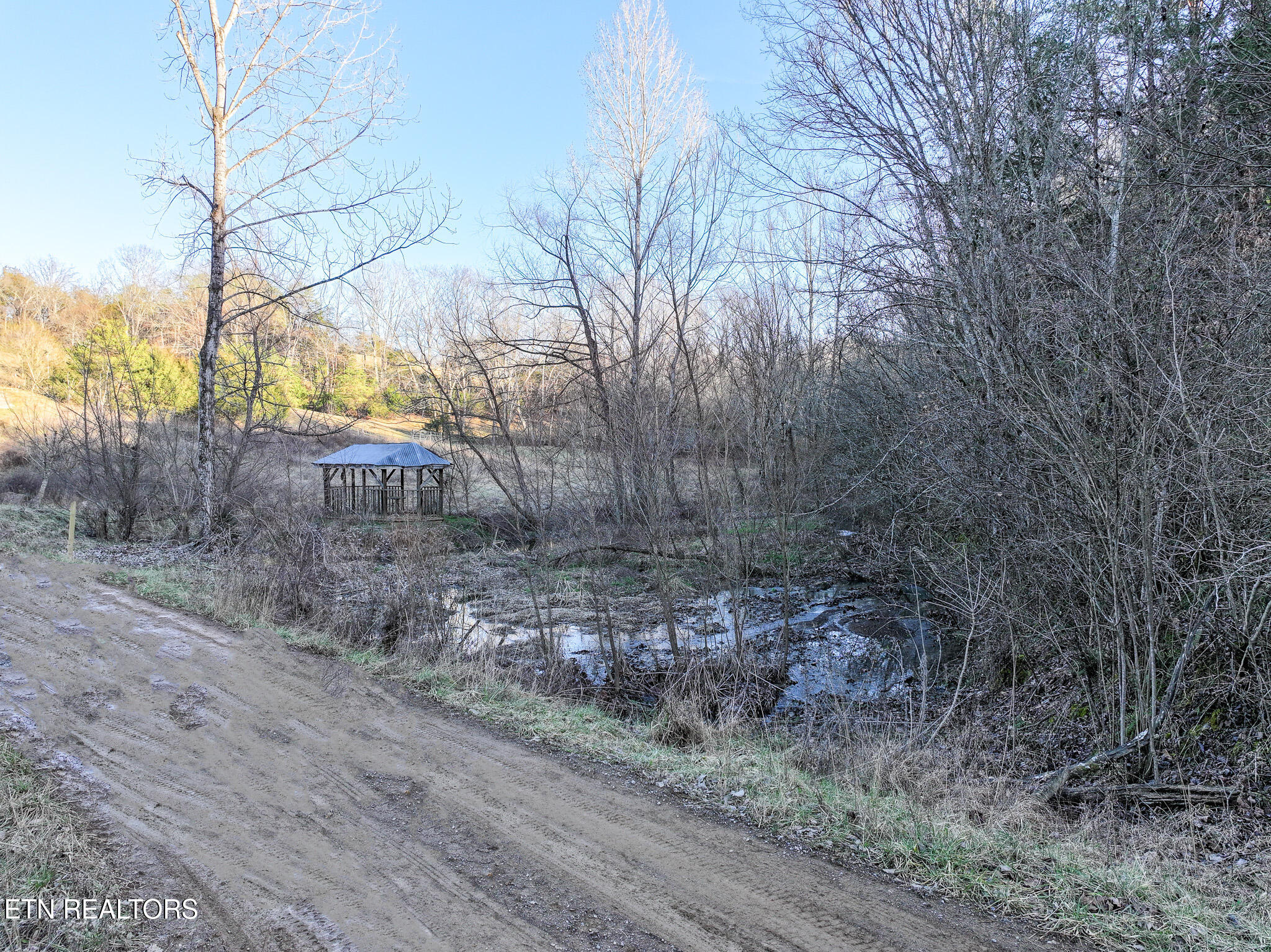 0 London Way Parrottsville, TN 37843 - Photo 12 of 20 DJI_20250217165024_0399_D-Edit