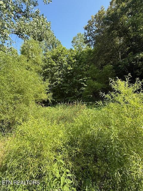 0 London Way Parrottsville, TN 37843 - Photo 18 of 20 IMG_5591