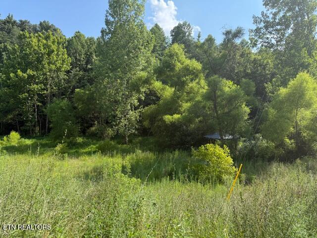 0 London Way Parrottsville, TN 37843 - Photo 2 of 20 IMG_5588