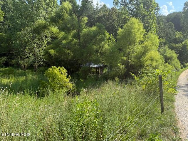 0 London Way Parrottsville, TN 37843 - Photo 3 of 20 IMG_5587