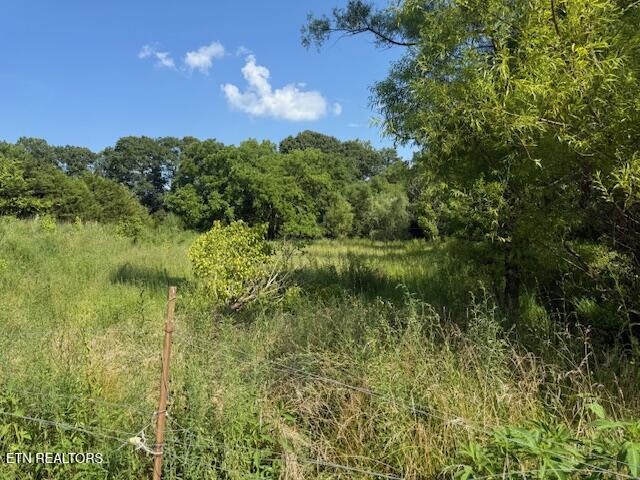 0 London Way Parrottsville, TN 37843 - Photo 5 of 20 IMG_5584