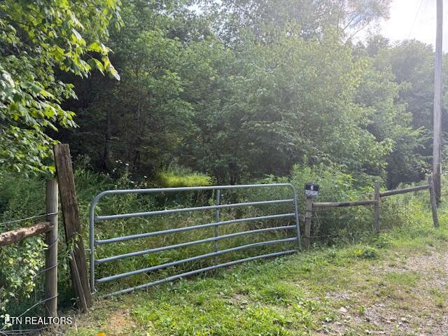 0 London Way Parrottsville, TN 37843 - Photo 6 of 20 IMG_5575