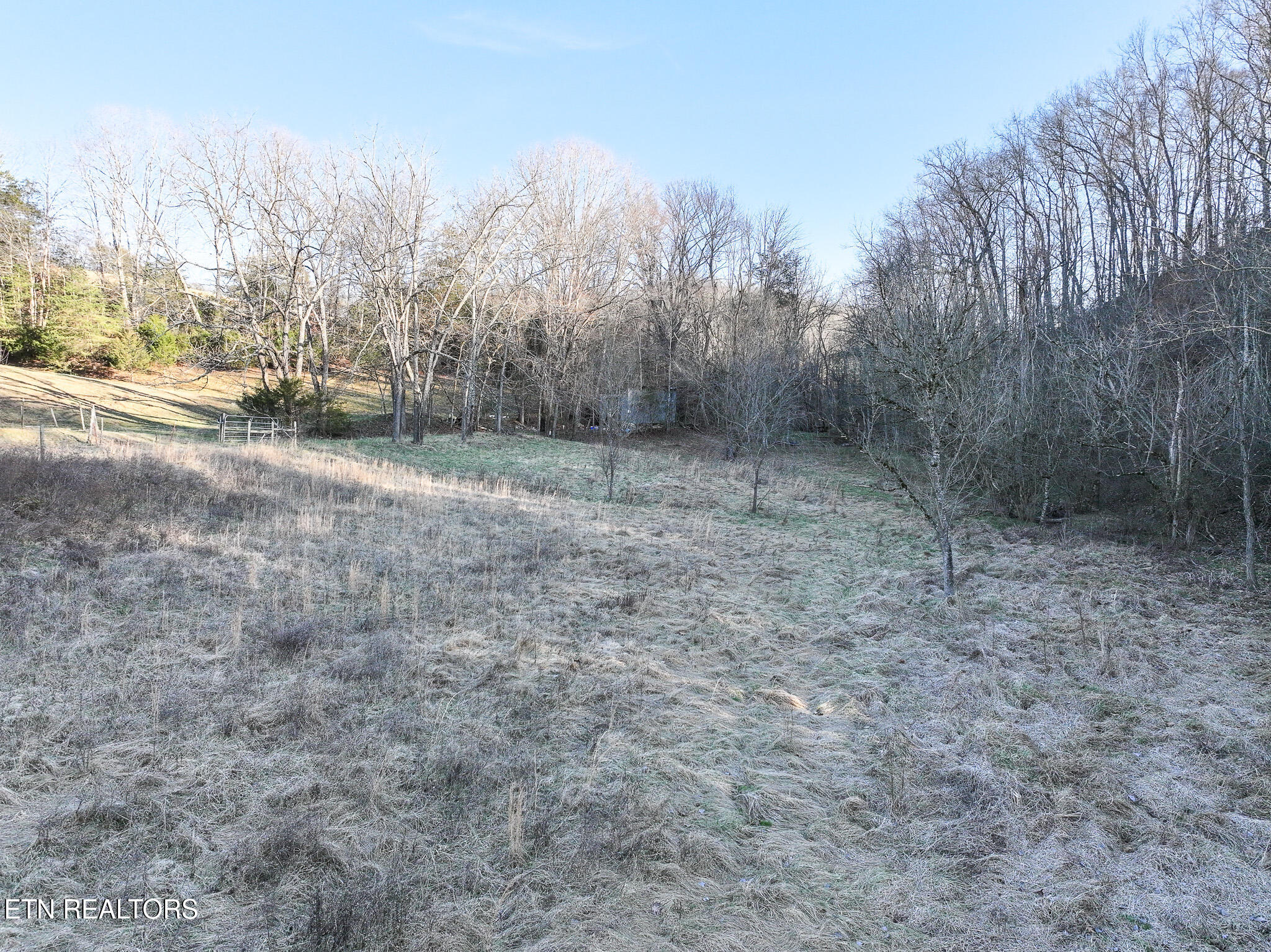 0 London Way Parrottsville, TN 37843 - Photo 8 of 20 DJI_20250217164838_0392_D