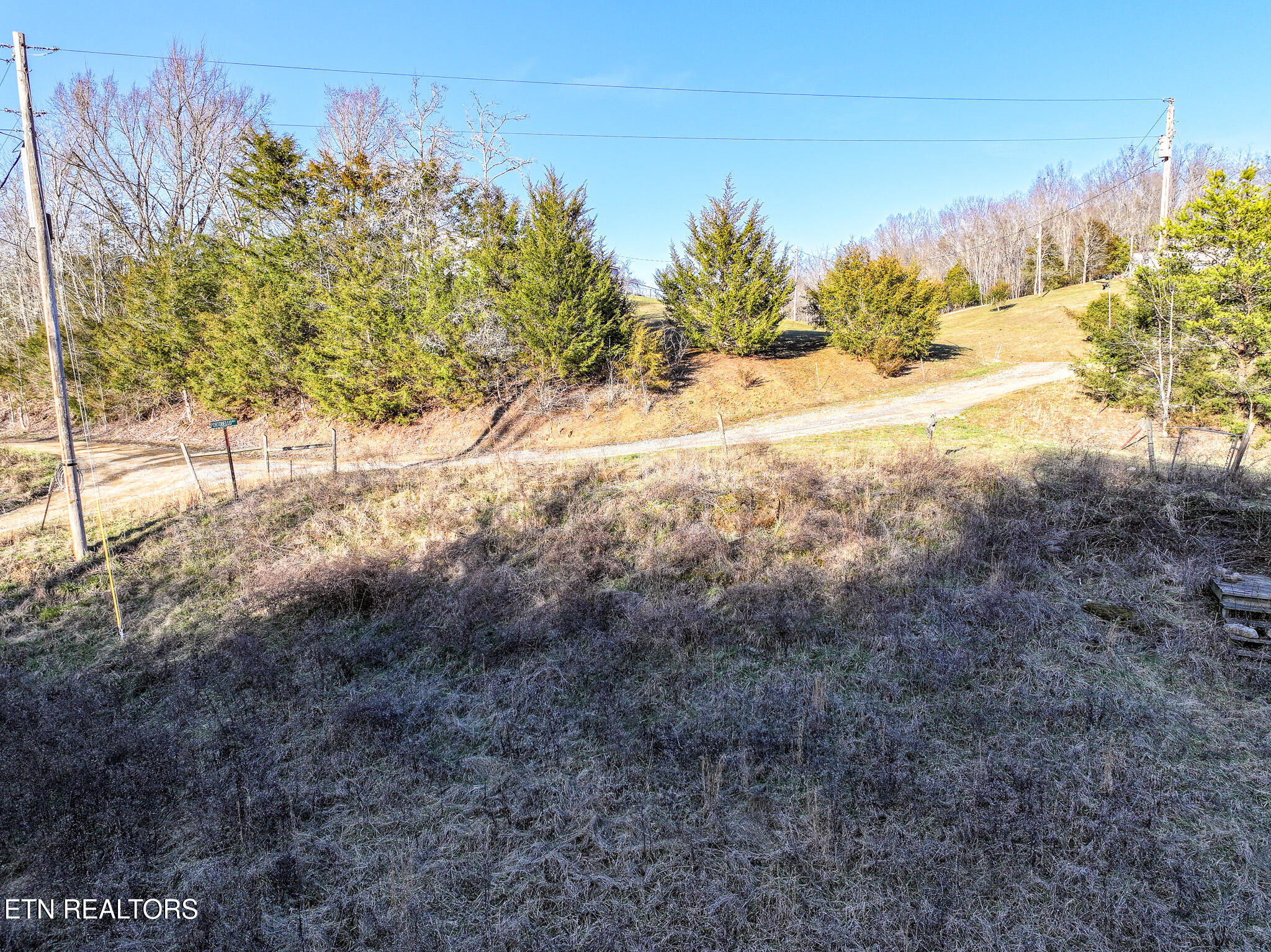 0 London Way Parrottsville, TN 37843 - Photo 10 of 20 DJI_20250217164848_0395_D