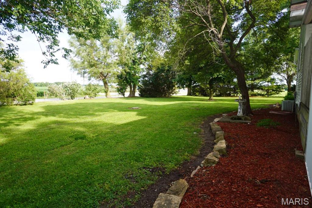 9965 Fruit Road Alhambra, IL 62001 - Photo 7 of 63