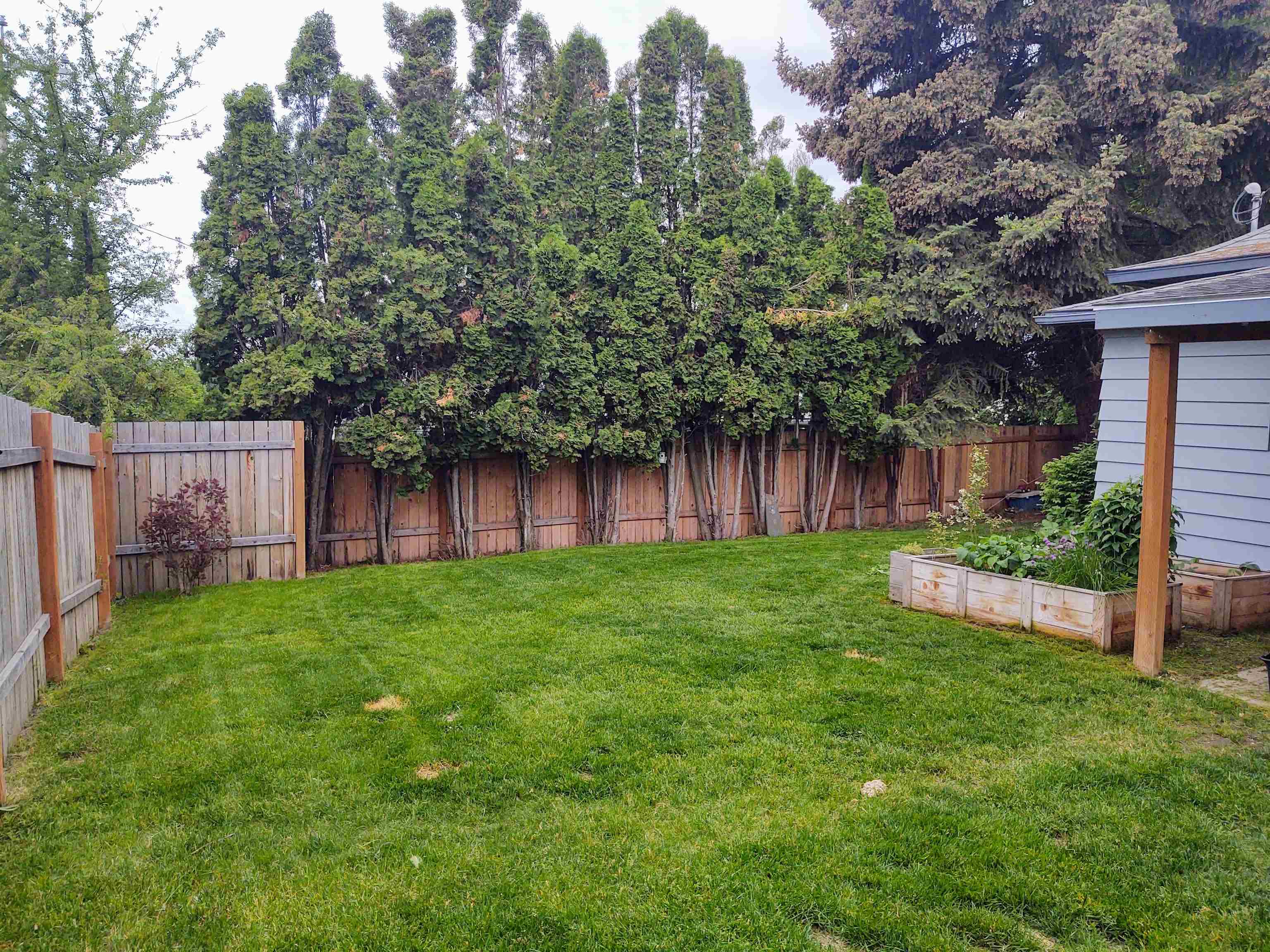 128 College Street Tekoa, WA 99033 - Photo 14 of 15