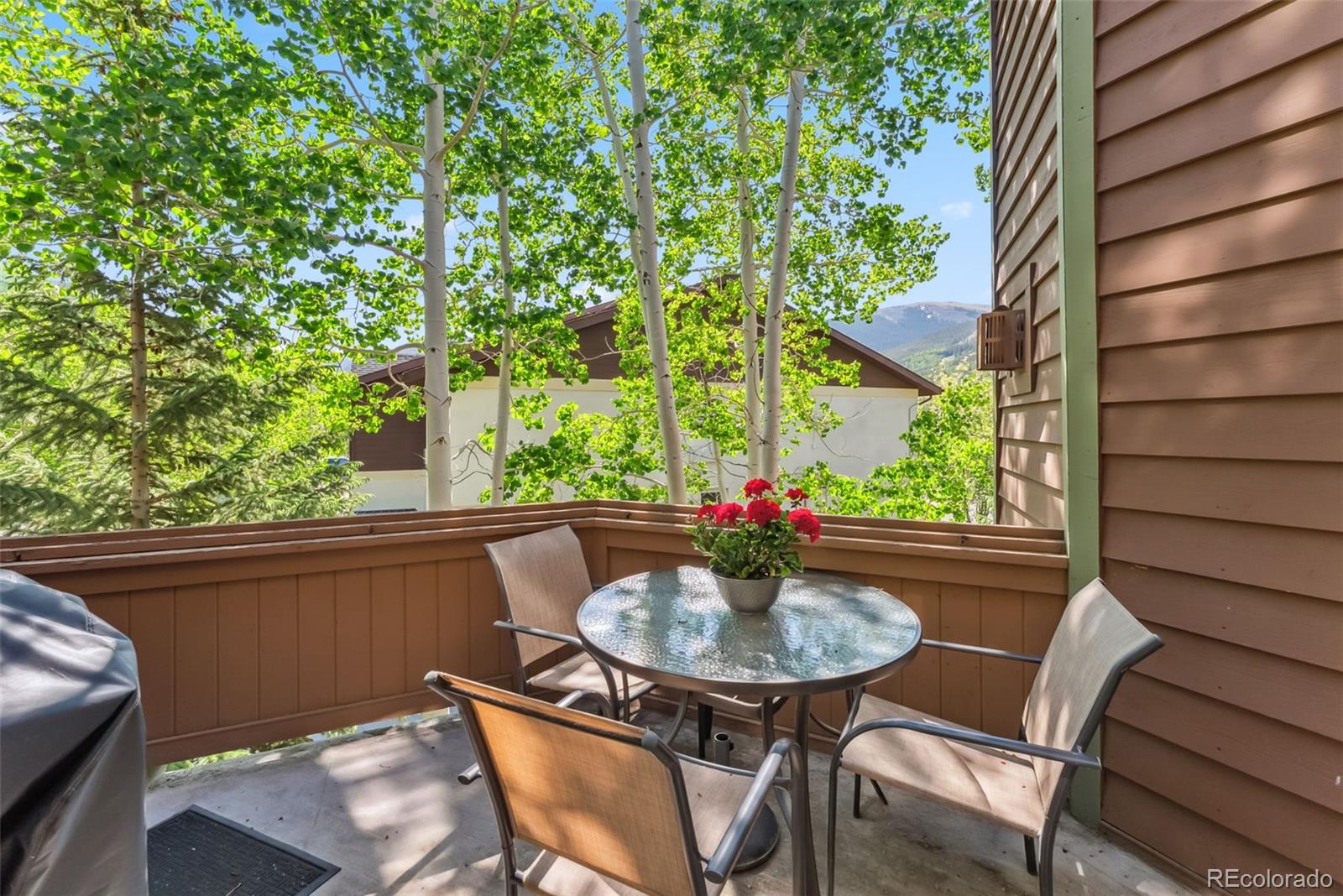 0024 Rasor Drive Dillon, CO 80435 - Photo 12 of 37 a table and chairs in patio of the house
