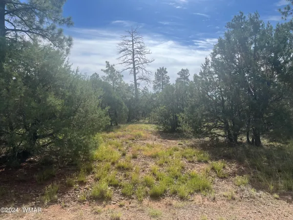 $79,900 | 5455 Red Squirrel Lane, Lakeside, AZ 85929