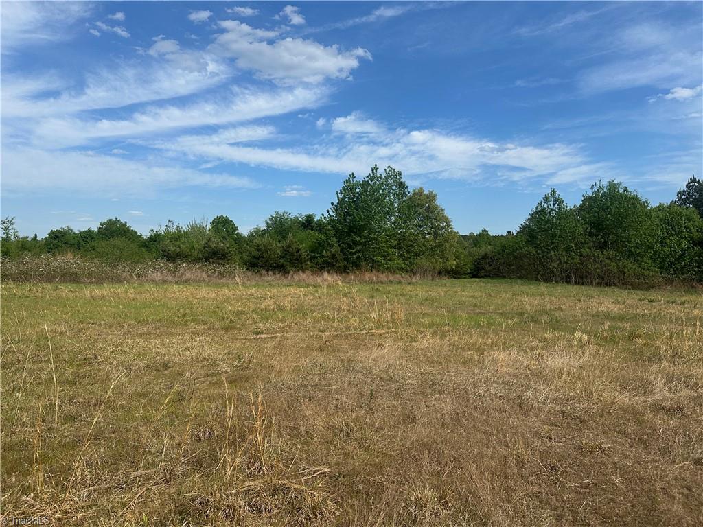 293 Preacher Road Reidsville, NC 27320 - Photo 6 of 8 Level Grounds