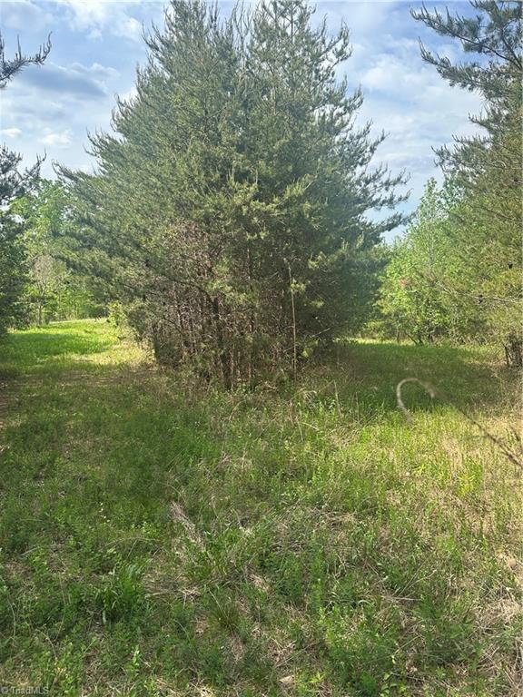 293 Preacher Road Reidsville, NC 27320 - Photo 7 of 8 Easment