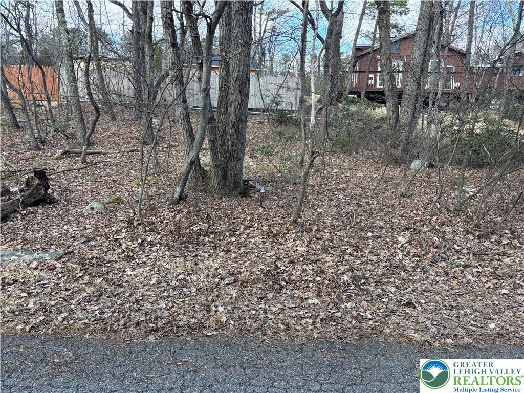 a view of a yard with a tree