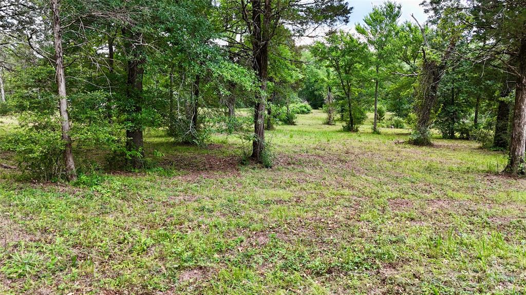 0 Gibson Road Athens, TX 75751 - Photo 13 of 17 Interior pic of property