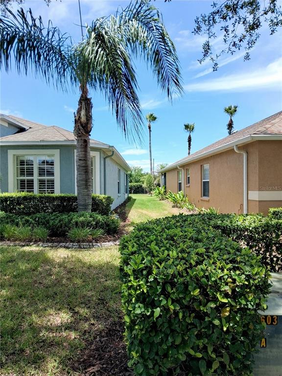 11731 Heritage Point Drive Hudson, FL 34667 - Photo 3 of 63