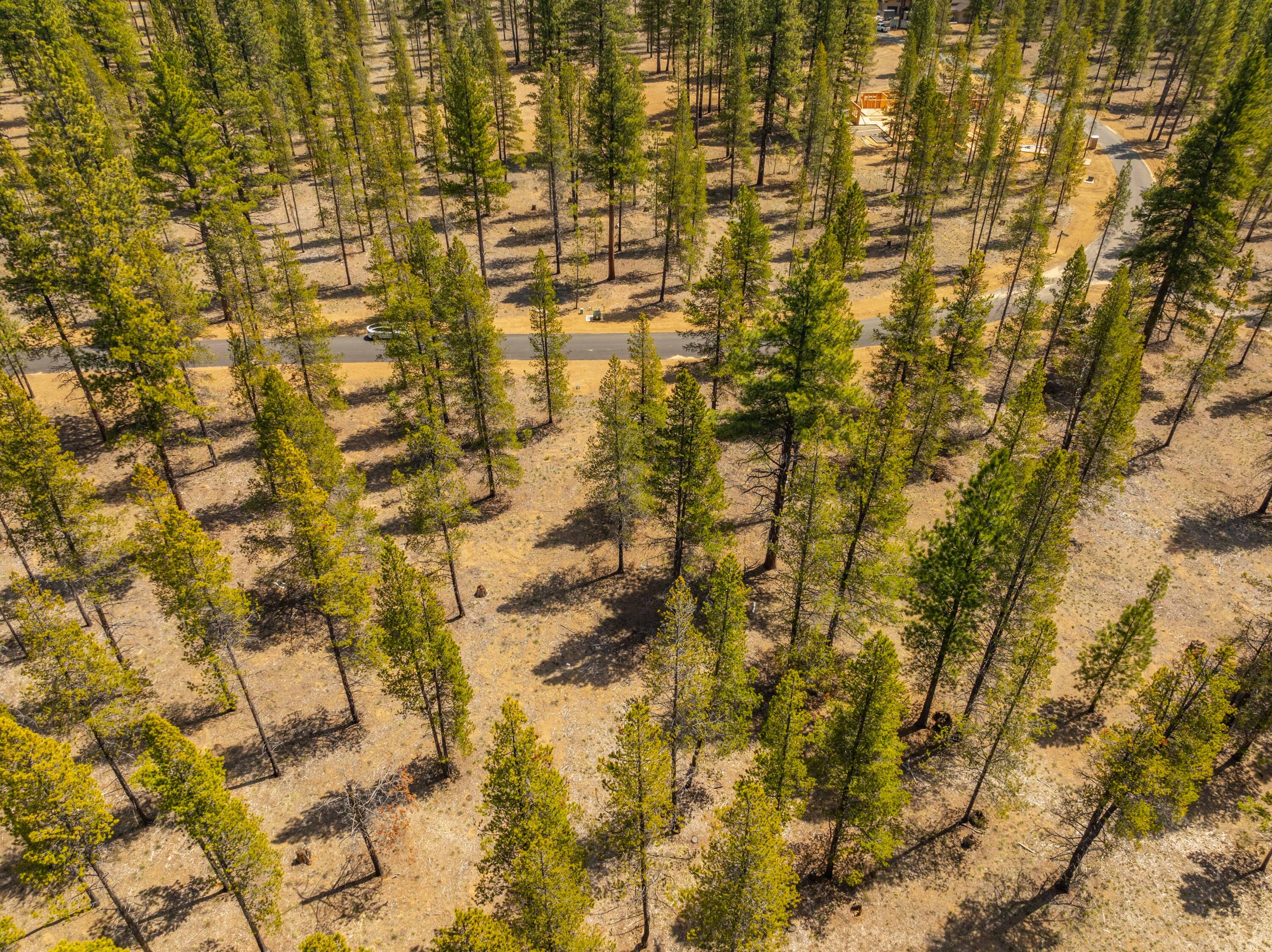 DJI_0064-HDR