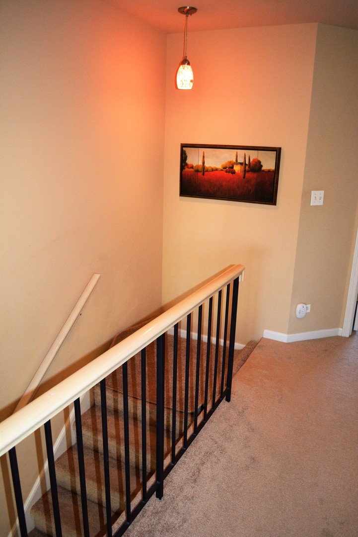 8248 Ripple Ridge, Unit 8248 Darien, IL 60561 - Photo 23 of 28 Gallery Image 23