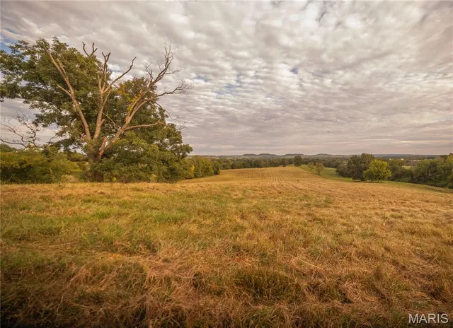 $693,000 | 255 Gnade Road, Elsberry, MO 63343